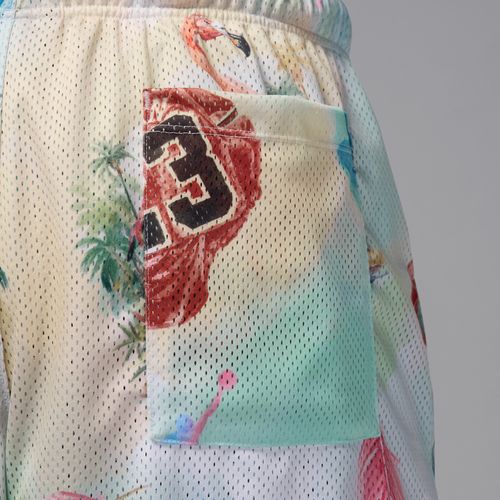 Air Jordan Essentials Printed Mesh Shorts - Multi