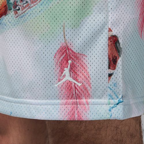 Air Jordan Essentials Printed Mesh Shorts - Multi